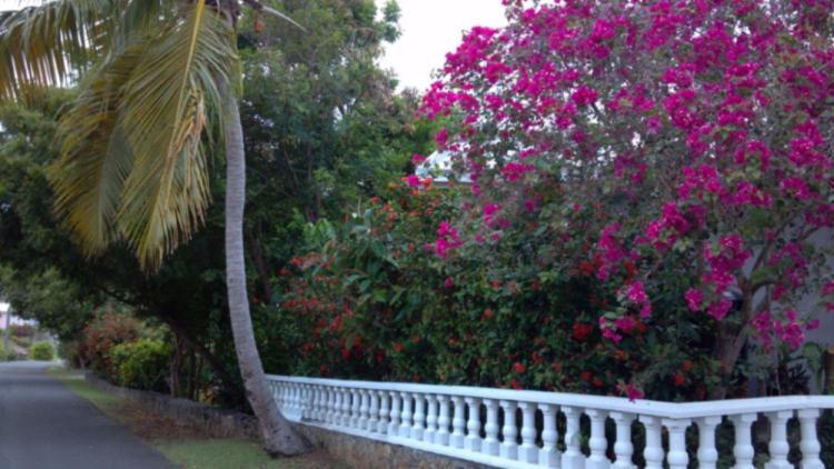 Water Island Hotel & Villas Esterno foto